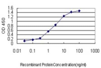 Sandwich ELISA: NFATC2/NFAT1 Antibody (2A4) [H00004773-M01] - Detection limit for recombinant GST tagged NFATC2 is approximately 0.1ng/ml as a capture antibody.