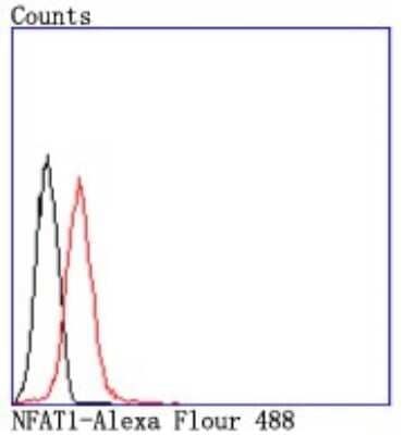 Flow Cytometry: NFATC2/NFAT1 Antibody (JA11-08) [NBP2-66974] - Analysis of Jurkat cells with NFAT1 antibody at 1/50 dilution (red) compared with an unlabelled control (cells without incubation with primary antibody; black). Alexa Fluor 488-conjugated goat anti rabbit IgG was used as the secondary antibody.