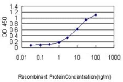 Sandwich ELISA: NFATC2IP Antibody (2D7-A10) [H00084901-M01] - Detection limit for recombinant GST tagged NFATC2IP is approximately 0.1ng/ml as a capture antibody.