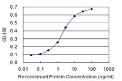 Sandwich ELISA: NFIC Antibody (1D6) [H00004782-M03] - Detection limit for recombinant GST tagged NFIC is 0.1 ng/ml as a capture antibody.