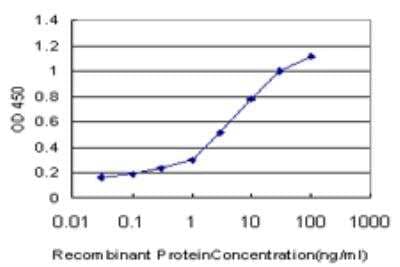 ELISA: NFYB Antibody (1G10) [H00004801-M06] - Detection limit for recombinant GST tagged NFYB is approximately 0.3ng/ml as a capture antibody.