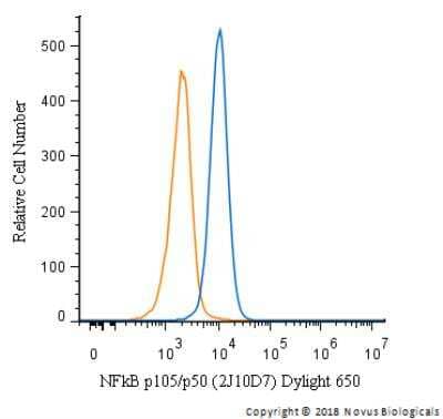 Flow Cytometry: NFkB p105/p50 Antibody (2J10D7) [DyLight 650] [NB100-56583C] - An intracellular stain was performed on HeLa cells with NFkB p105/p50 Antibody (2J10D7) NB100-56583C (blue) and a matched isotype control (orange). Cells were fixed with 4% PFA and then permeabilized with 0.1% saponin. Cells were incubated in an antibody dilution of 2.5 ug/mL for 30 minutes. Both antibodies were conjugated to Dylight 650.