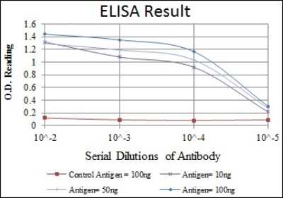 ELISA: NFkB p105/p50 Antibody (5D10) [NBP2-22202] - Red: Control Antigen (100ng); Purple: Antigen (10ng); Green: Antigen (50ng); Blue: Antigen (100ng)