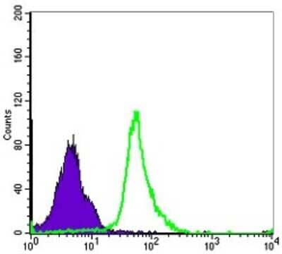Flow Cytometry: NFkB p105/p50 Antibody (5D10) [NBP2-22202] - Flow cytometric analysis of MCF-7 cells using NFkB p105/p50 mouse mAb (green) and negative control (purple).