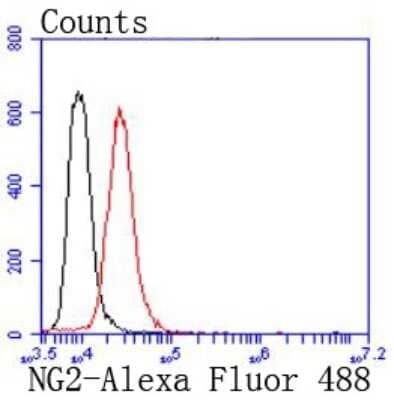 Flow Cytometry: NG2/MCSP Antibody (JM10-13) [NBP2-66979] - Analysis of SHG-44 cells with NG2 antibody at 1/50 dilution (red) compared with an unlabelled control (cells without incubation with primary antibody; black). Alexa Fluor 488-conjugated goat anti rabbit IgG was used as the secondary antibody.