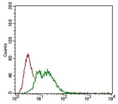 Flow Cytometry: NG2/MCSP Antibody (LHM 2) - Azide and BSA Free [NBP2-80873] - Antibody was tested at 1:400 in MCF7 cells using an Alexa Fluor 488 secondary (shown in green) alongside unstained cells (shown in red). Image from the standard format of this antibody.