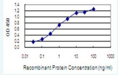 ELISA: NGEF Antibody (6E7) [H00025791-M01-100ug] - Detection limit for recombinant GST tagged NGEF is 0.03 ng/ml as a capture antibody.