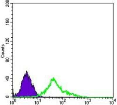 Flow Cytometry: NGFR/TNFRSF16/p75NTR Antibody (2F1C2) - Azide and BSA Free [NBP2-80874] - Analysis of EC cells using p75NTR/NGF Receptor mouse mAb (green) and negative control (purple). Image from the standard format of this antibody.