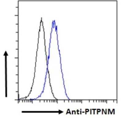 Flow Cytometry: NIR2 Antibody [NB100-1417] - Flow cytometric analysis of paraformaldehyde fixed A549 cells (blue line), permeabilized with 0.5% Triton. Primary incubation 1hr (10ug/ml) followed by Alexa Fluor 488 secondary antibody (1ug/ml). IgG control: Unimmunized goat IgG (black line) followed by Alexa Fluor 488 secondary antibody.