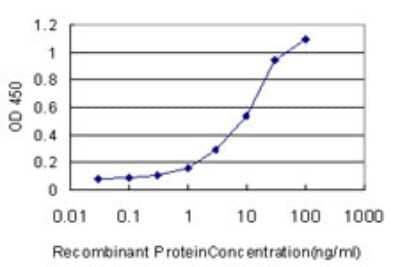 Sandwich ELISA NISCH Antibody (2C8) - Azide and BSA Free