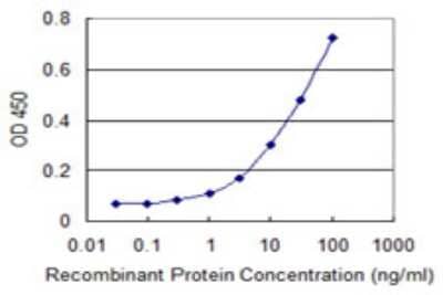 Sandwich ELISA NISCH Antibody (3B8) - Azide and BSA Free