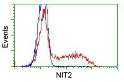 Flow Cytometry: NIT2 Antibody (OTI2B9) - Azide and BSA Free [NBP2-72995] - HEK293T cells transfected with either pCMV6-ENTRY NIT2.(Red) or empty vector control plasmid (Blue) were immunostaining with anti-NIT2 mouse monoclonal, and then analyzed by flow cytometry.