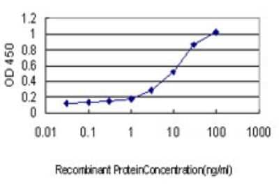 Sandwich ELISA: NLK Antibody (1C1) [H00051701-M01] - Detection limit for recombinant GST tagged NLK is approximately 0.03ng/ml as a capture antibody.