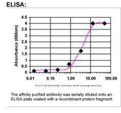 ELISA: NLRP5 Antibody [45740002]
