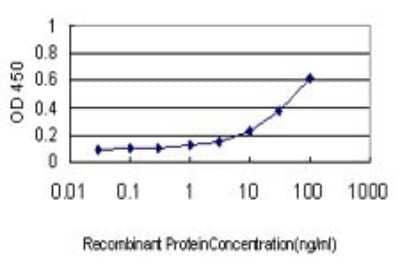 ELISA: NM23-H1 Antibody (2H1) [H00004830-M01] - Detection limit for recombinant GST tagged NME1 is approximately 1ng/ml as a capture antibody.