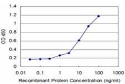 ELISA: NM23-H2/NME2 Antibody (1D4) [H00004831-M05] - Detection limit for recombinant GST tagged NME2 is approximately 1ng/ml as a capture antibody.