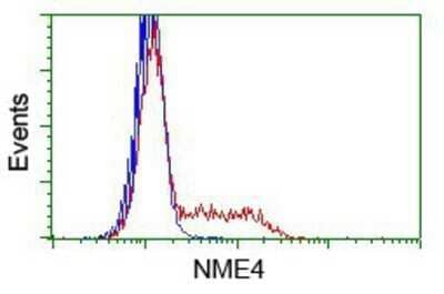 Flow Cytometry: NME4 Antibody (OTI1A5) - Azide and BSA Free [NBP2-73005] - HEK293T cells transfected with either pCMV6-ENTRY NME4.(Red) or empty vector control plasmid (Blue) were immunostaining with anti-NME4 mouse monoclonal, and then analyzed by flow cytometry.