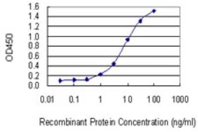 Sandwich ELISA: NME7 Antibody (1A11) [H00029922-M08] - Detection limit for recombinant GST tagged NME7 is 0.3 ng/ml as a capture antibody.
