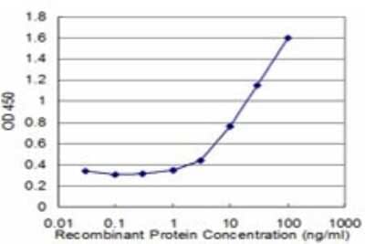 Sandwich ELISA: NOLC1 Antibody (3F8) [H00009221-M01] - Detection limit for recombinant GST tagged NOLC1 is approximately 1ng/ml as a capture antibody.