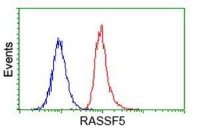 Flow Cytometry: NORE1 Antibody (OTI1H2) - Azide and BSA Free [NBP2-73041] - Analysis of Hela cells, using anti-NORE1 antibody, (Red), compared to a nonspecific negative control antibody (Blue).
