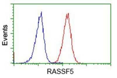 Flow Cytometry: NORE1 Antibody (OTI1H2) - Azide and BSA Free [NBP2-73041] - Analysis of Jurkat cells, using anti-NORE1 antibody, (Red), compared to a nonspecific negative control antibody (Blue).