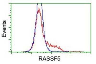 Flow Cytometry: NORE1 Antibody (OTI1H2) - Azide and BSA Free [NBP2-73041] - HEK293T cells transfected with either overexpression plasmid (Red) or empty vector control plasmid (Blue) were immunostaining by anti-NORE1 antibody, and then analyzed by flow cytometry.
