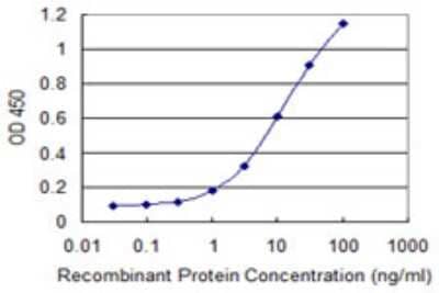 Sandwich ELISA: NOS1AP Antibody (3B11) [H00009722-M02] - Detection limit for recombinant GST tagged NOS1AP is 0.3 ng/ml as a capture antibody.