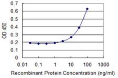 Sandwich ELISA: NPY1R Antibody (3A1) [H00004886-M21] - Detection limit for recombinant GST tagged NPY1R is 1 ng/ml as a capture antibody.