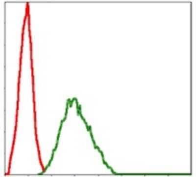 Flow Cytometry: NQO-1 Antibody (4D12) [NBP2-37541] - Flow cytometric analysis of NIH/3T3 cells using NQO1 mouse mAb (green) and negative control (red).