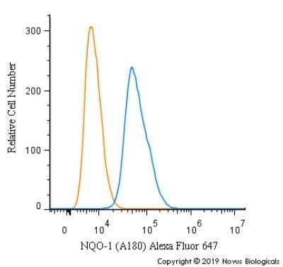 Flow Cytometry: NQO-1 Antibody (A180) [Alexa Fluor® 647] [NB200-209AF647] - An intracellular stain was performed on U-87 cells with NQO-1 [A180] Antibody NB200-209AF647 (blue) and a matched isotype control (orange). Cells were fixed with 4% PFA and then permeabilized with 0.1% saponin. Cells were incubated in an antibody dilution of 2.5 ug/mL for 30 minutes at room temperature. Both antibodies were conjugated to Alexa Fluor 647.