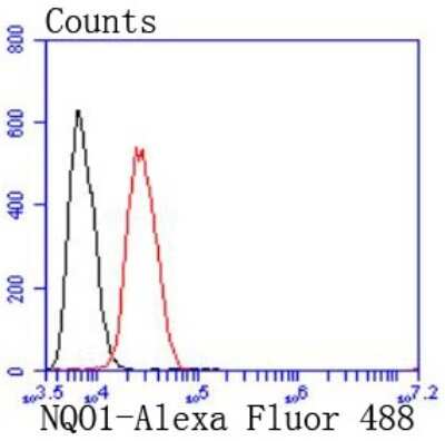 Flow Cytometry: NQO-1 Antibody (JF440-1) [NBP2-66990] - Analysis of Hela cells with NQO1 antibody at 1/50 dilution (red) compared with an unlabelled control (cells without incubation with primary antibody; black). Alexa Fluor 488-conjugated goat anti rabbit IgG was used as the secondary antibody