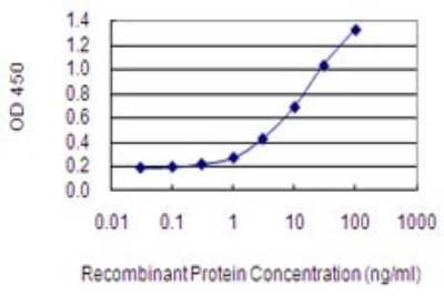 Sandwich ELISA: NRAP Antibody (1E9) [H00004892-M01] - Detection limit for recombinant GST tagged NRAP is 0.1 ng/ml as a capture antibody.