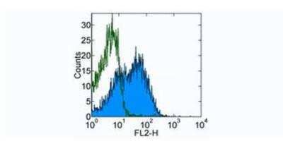 Flow Cytometry: NTB-A/SLAMF6/CD352 Antibody (13G3-19D) [NBP1-43344] - Staining of BALB/c splenocytes with 0.25 ug of Mouse IgG2a kappa Isotype Control Purified (open histogram) or 0.25 ug of Anti-Mouse Ly-108 Purified (filled histogram) followed by Anti-Mouse IgG2a Biotin and Streptavidin PE. Cells in the lymphocyte gate were used for analysis.