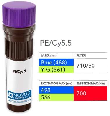 Product Image: NTB-A/SLAMF6/CD352 Antibody (13G3-19D) [PE/Cy5.5] [NBP1-43344PECY55] - Vial of PE/Cy5.5 conjugated antibody. PE/Cy5.5 has two excitation maxima, 498 nm excited by the Blue laser (488 nm) and 566 nm excited by the Yellow-Green laser (561 nm). Both result in emission at 700 nm.
