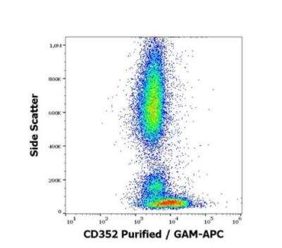 Flow Cytometry: NTB-A/SLAMF6/CD352 Antibody (hsF6.4.20) [NBP3-09135] - Surface staining pattern of human peripheral whole blood stained using anti-human CD352 (hsF6.4.20) Purified antibody (concentration in sample 0,56 ug/ml, GAM APC). 