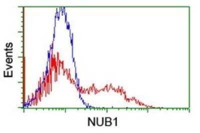 Flow Cytometry: NUB1/NYREN18 Antibody (OTI2G1) - Azide and BSA Free [NBP2-73082] - Analysis of HEK293T cells transfected with either overexpress plasmid(Red) or empty vector control plasmid(Blue) were immunostaining by NUB1 antibody.