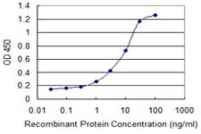 Sandwich ELISA: NUBP1 Antibody (2B11) [H00004682-M03] - Detection limit for recombinant GST tagged NUBP1 is 0.3 ng/ml as a capture antibody.