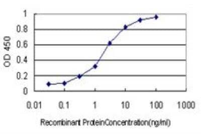 ELISA: NUDC Antibody (5G12) [H00010726-M01] - Detection limit for recombinant GST tagged NUDC is approximately 0.03ng/ml as a capture antibody.
