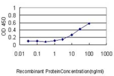 Sandwich ELISA: NUDT21 Antibody (2G4-6F11) [H00011051-M01] - Detection limit for recombinant GST tagged NUDT21 is approximately 1ng/ml as a capture antibody.