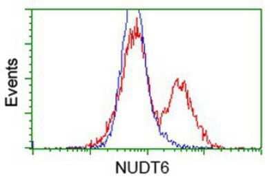 Flow Cytometry NUDT6 Antibody (OTI9D12)