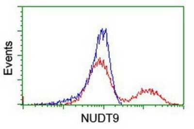 Flow Cytometry NUDT9 Antibody (OTI7A12)