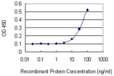 Sandwich ELISA: NUP43 Antibody (2G5) [H00348995-M03] - Detection limit for recombinant GST tagged NUP43 is 3 ng/ml as a capture antibody.