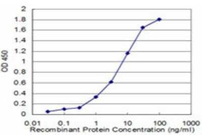 ELISA: NVL Antibody (3D10) [H00004931-M03] - Detection limit for recombinant GST tagged NVL is approximately 0.1ng/ml as a capture antibody.