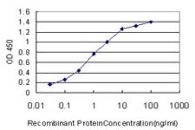 Sandwich ELISA: NVL Antibody (3F6) [H00004931-M02] - Detection limit for recombinant GST tagged NVL is approximately 0.03ng/ml as a capture antibody.