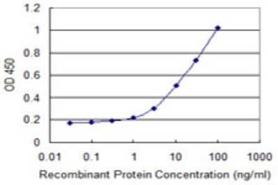 Sandwich ELISA: NXF3 Antibody (3A9) [H00056000-M06] - Detection limit for recombinant GST tagged NXF3 is 0.3 ng/ml as a capture antibody.