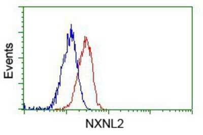 Flow Cytometry: NXNL2 Antibody (2B11) [NBP2-02605] - Analysis of Jurkat cells, using anti-NXNL2 antibody, (Red), compared to a nonspecific negative control antibody (Blue).