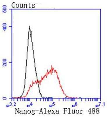 Flow Cytometry: Nanog Antibody (SC05-70) [NBP2-67562] - Flow cytometric analysis of NCCIT cells with Nanog antibody at 1/50 dilution (red) compared with an unlabelled control (cells without incubation with primary antibody; black). Alexa Fluor 488-conjugated goat anti rabbit IgG was used as the secondary antibody.