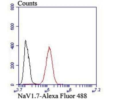 Flow Cytometry: Nav1.7 Antibody [NBP2-75581] - Analysis of SH-SY5Y cells with NaV1.7 antibody at 1/100 dilution (red) compared with an unlabelled control (cells without incubation with primary antibody; black).