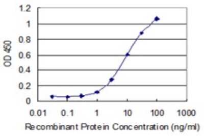 Sandwich ELISA: Nebulin Antibody (1F4) [H00004703-M01] - Detection limit for recombinant GST tagged NEB is 0.3 ng/ml as a capture antibody.