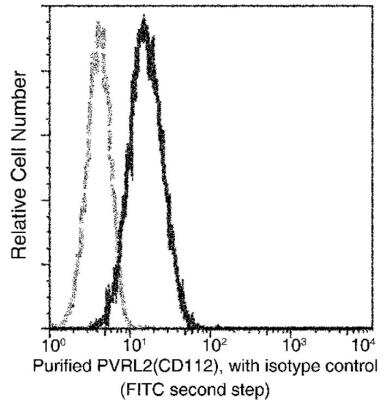 Flow Cytometry: Nectin-2/CD112 Antibody (005) [NBP2-89188] - Analysis of anti-Human PVRL2(CD112) on HL60 cells